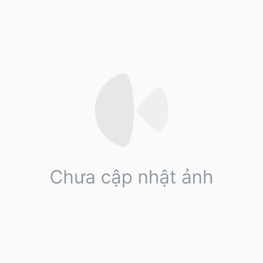 Túi Đựng Chụp Cầu C400